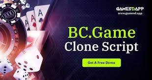 All You Need to Know About BC.Stavka APK
